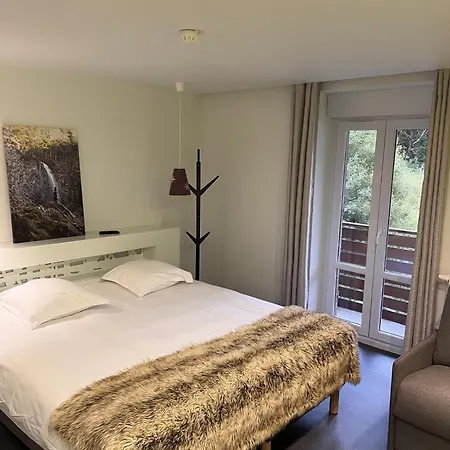 Hotel Logis Du Puy Ferrand 3*